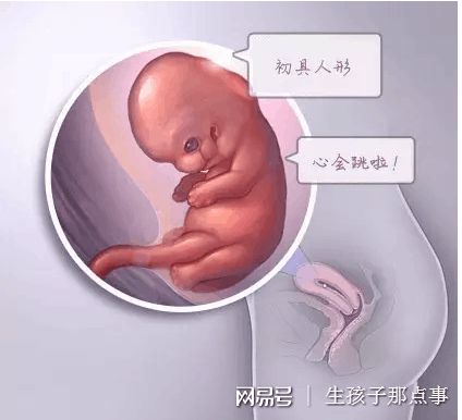 私人同性供卵代怀服务怎么选生殖医学中心